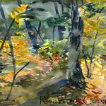 Forest Fall Color 11.25 x 15.25