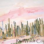 Sonoran Saguaros 14.5 x 22