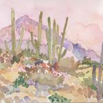 Sweet Saguaros 2
Watercolor, 